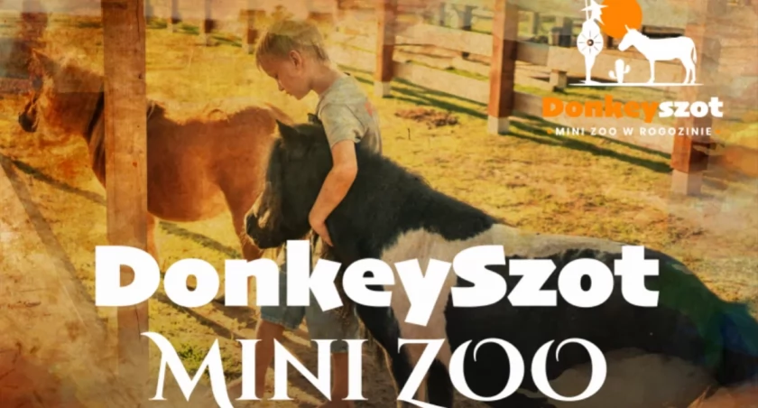 DonkeySzot Mini ZOO i Park Rozrywki. Moc atrakcji dla rodzin 
