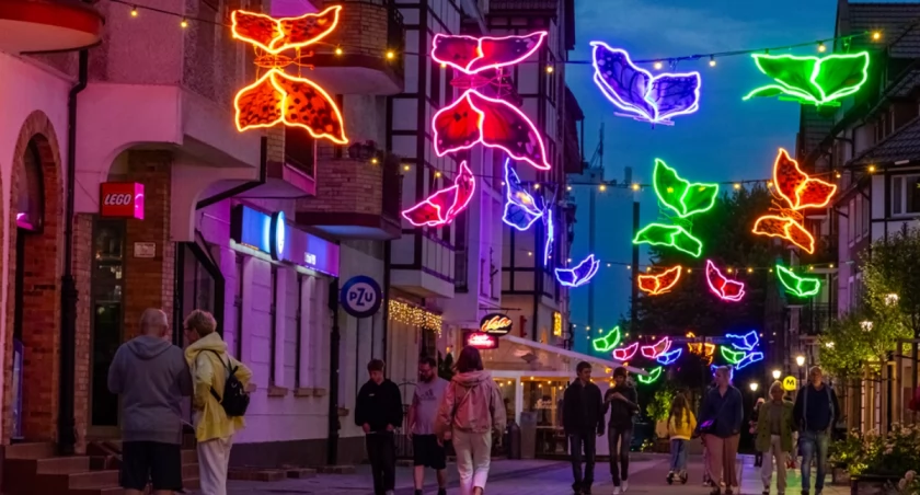 Motyle rozświetliły centrum miasta | foto i wideo