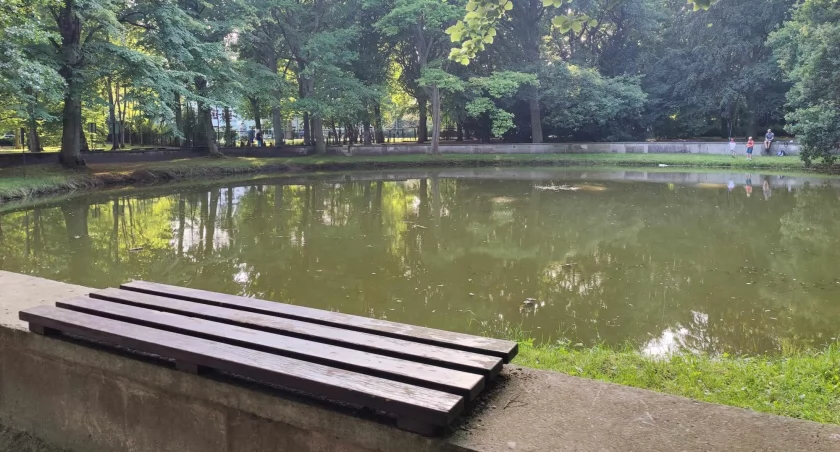 To miejsce ma wyglądać zupełnie inaczej niż do tej pory. Staw z żabami zniknie, co w zamian?
