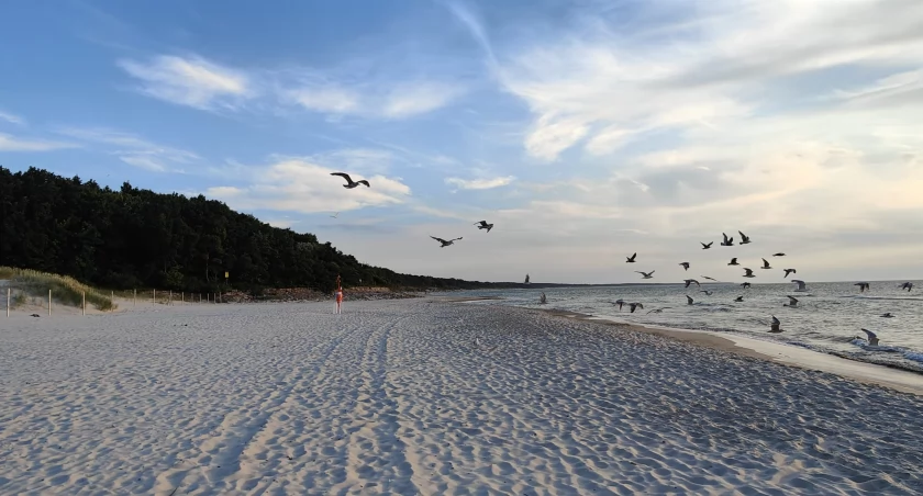 Kiedy ostatnio odwiedziliście plażę wojskową? Warto tutaj przyjść | zdjęcia 