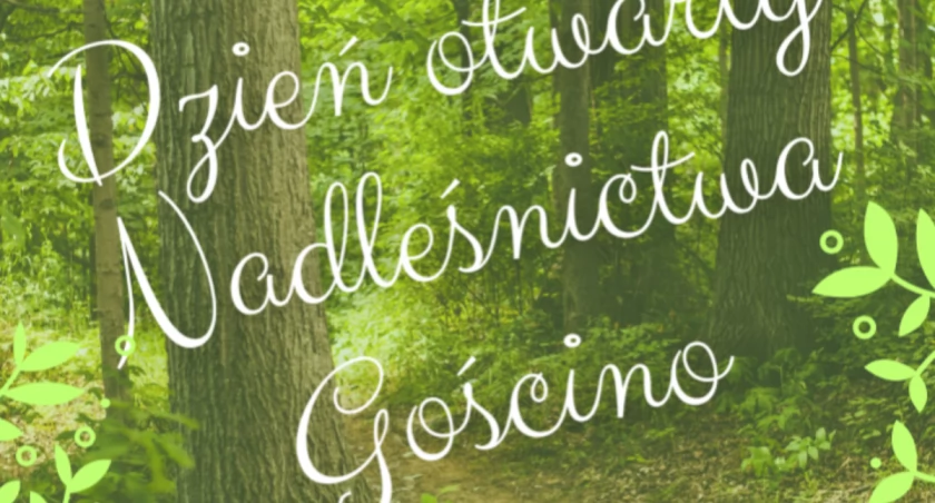 Dzień otwarty Nadleśnictwa Gościno