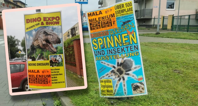 To Kołobrzeg czy to już Kolberg? Czyli o plakatach, które wywołały burzę w internecie