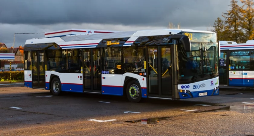 Sun Festival 2024. Kursy autobusów miejskich. Zobacz jak dojechać do Nadmorskiego Parku Kultury