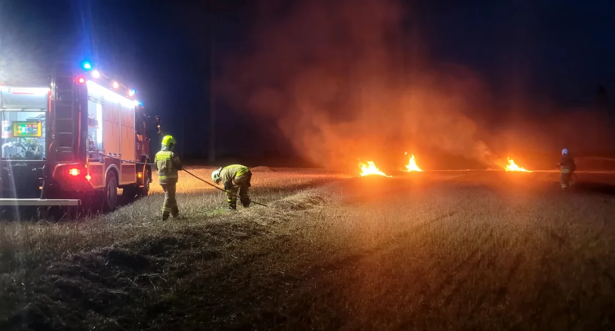 Strażacy walczyli z pożarem ścierniska