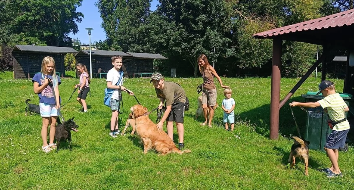 Do serca przytul Psa w Gminie Kołobrzeg