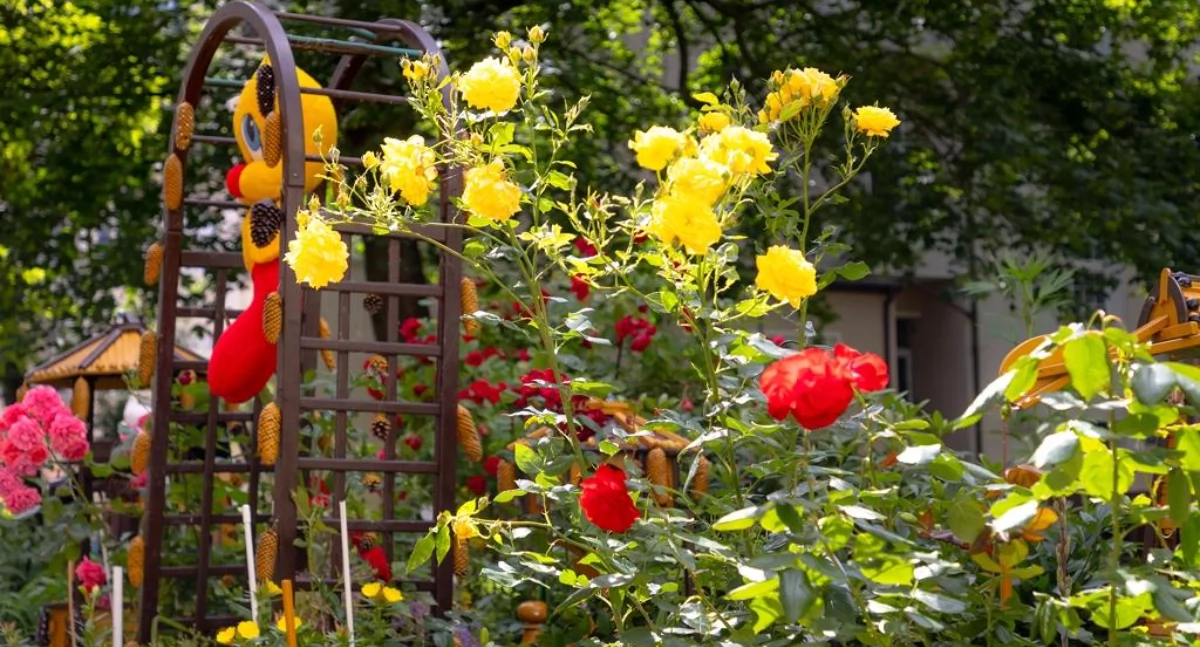 Konkurs na najpiękniejszy balkon i ogródek
