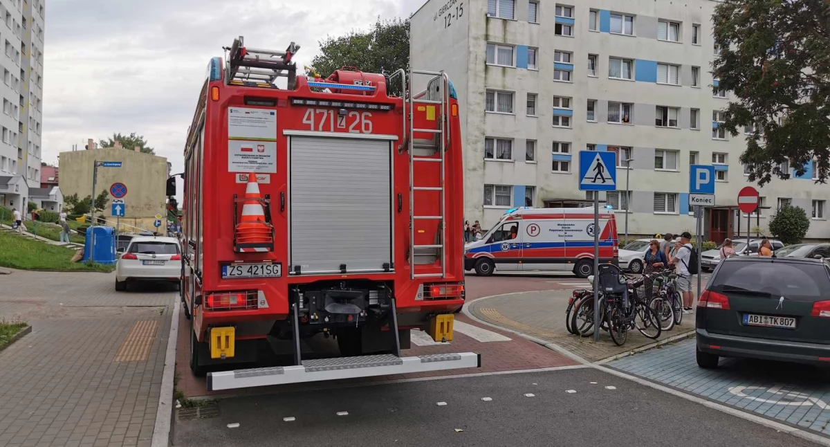 Chciała uciec przed osami, skończyło się urazem głowy. Interwencja strażaków w centrum miasta
