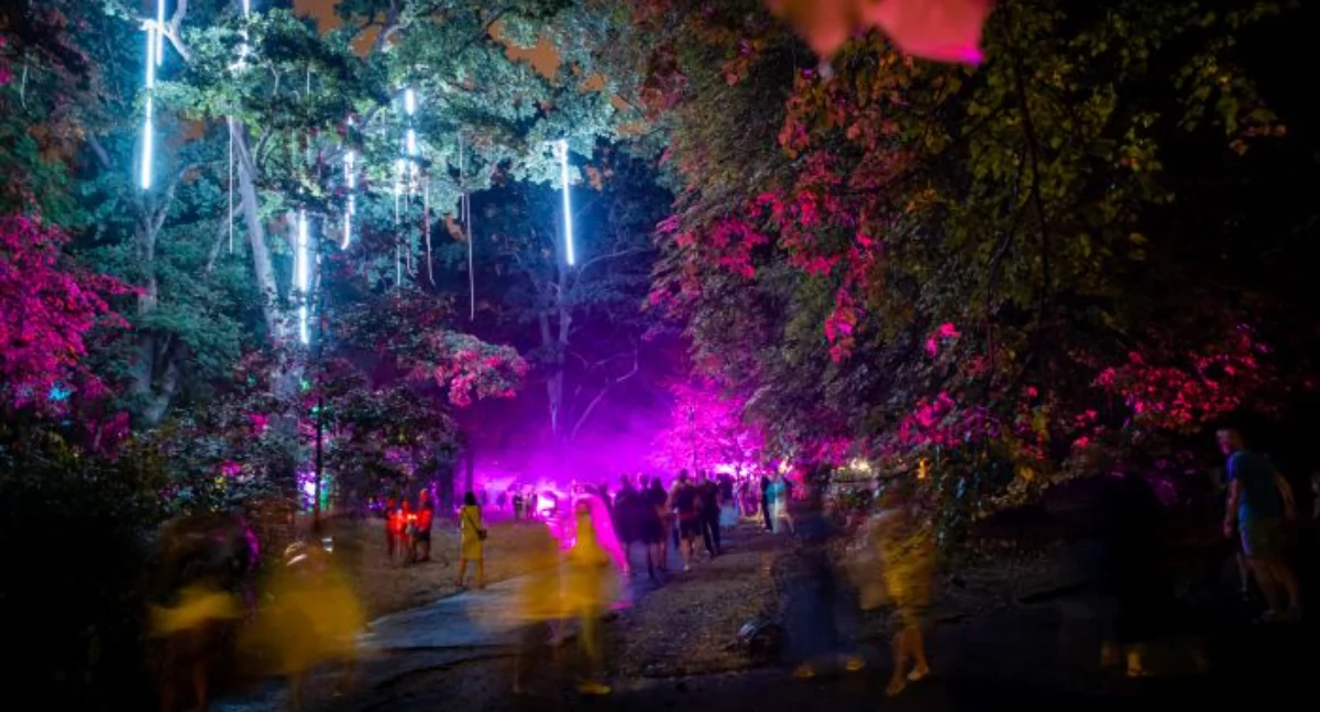 Noc Kolorów. Iluminacje, muzyka i  kompozycje artystyczne