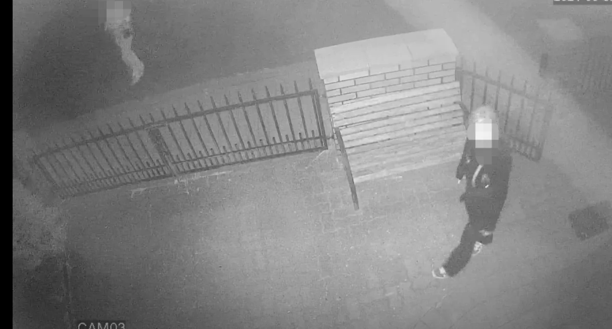 Kto niszczy zieleń w ogródkach w centrum miasta? Jeden z właścicieli nagrał wideo