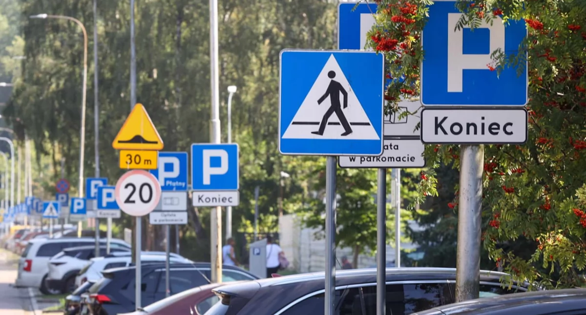 Część znaków drogowych do usunięcia? Wnioski są jednoznaczne – jest ich za dużo