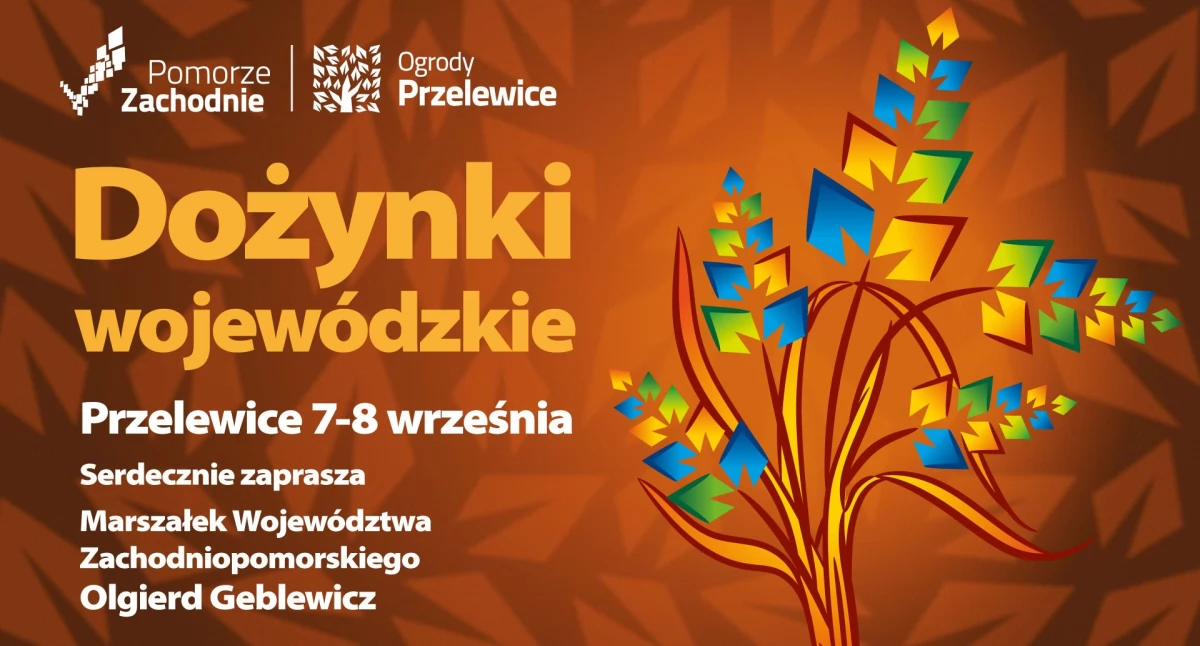 Dożynki wojewódzkie