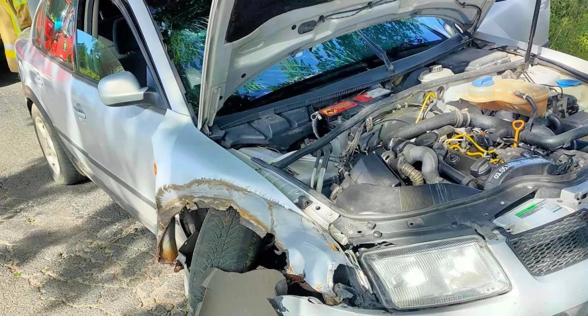 Samochód wjechał w drzewo. Kierowca uciekł z miejsca zdarzenia