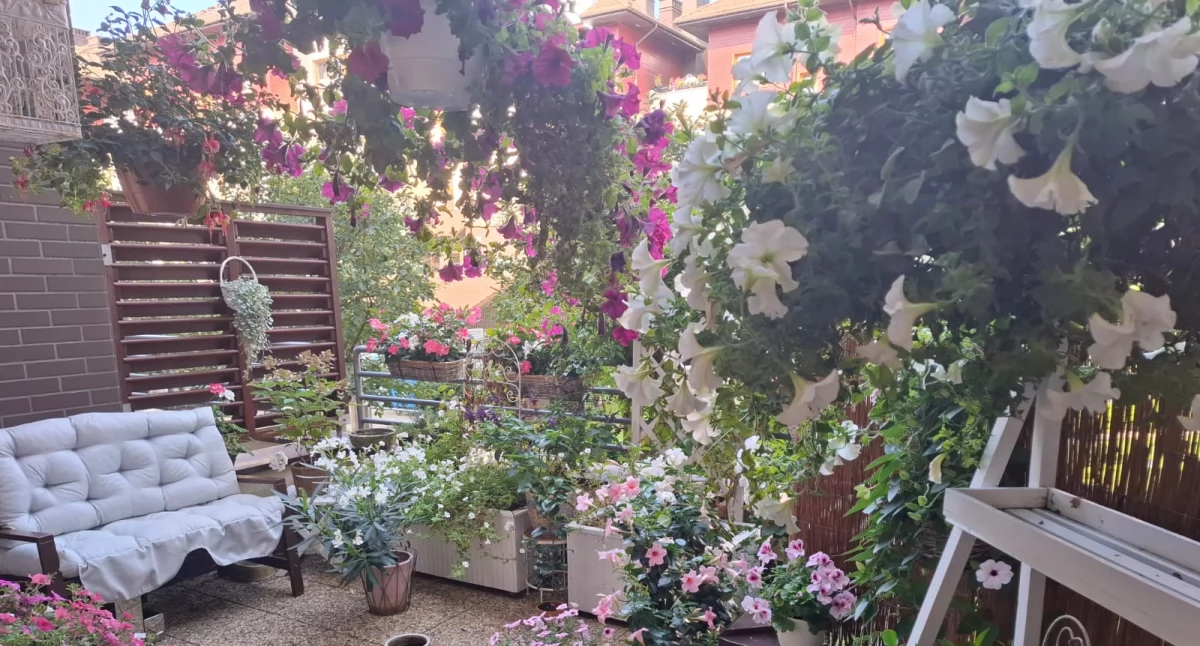 Najpiękniejsze balkony i ogródki. Magistrat rozstrzygnął konkurs – jest lista zwycięzców