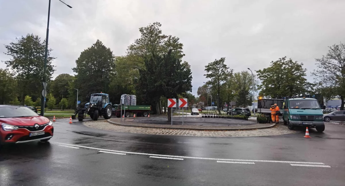 Na nowym rondzie trwają specjalne nasadzenia. Już za chwilę będzie gotowe
