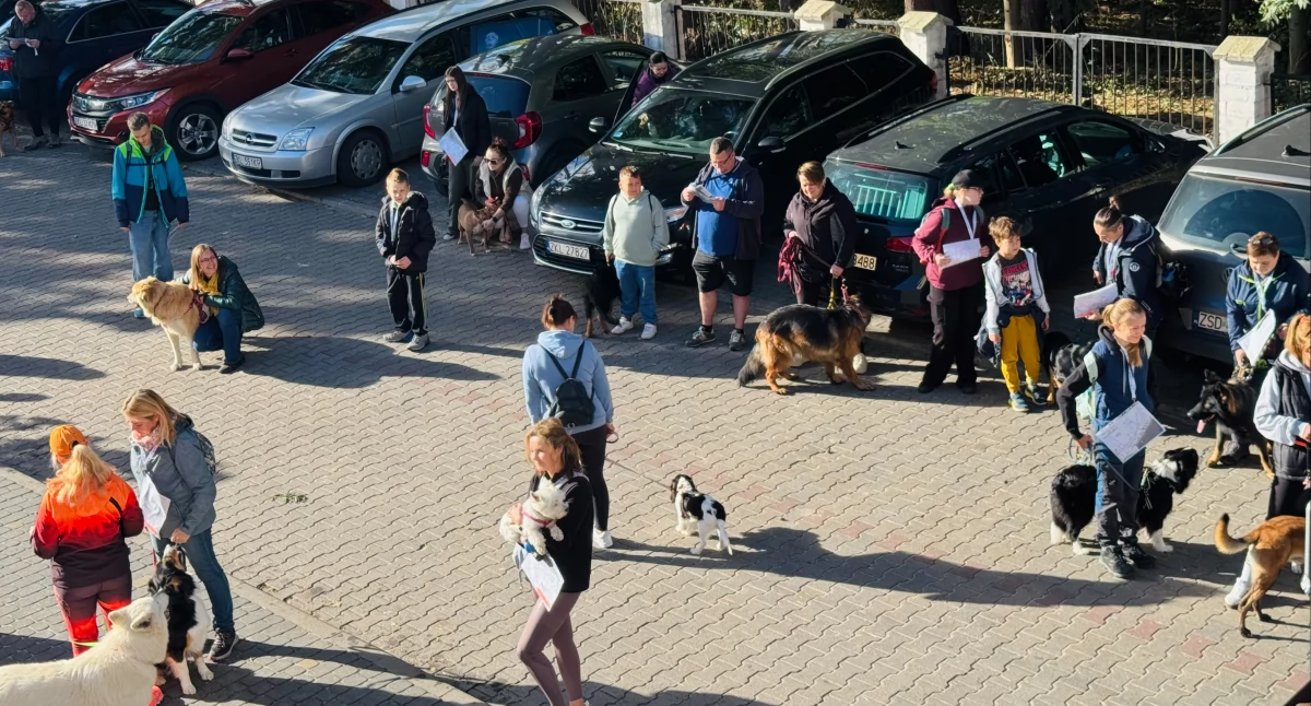 I Ustroński Dogtreking | wideo