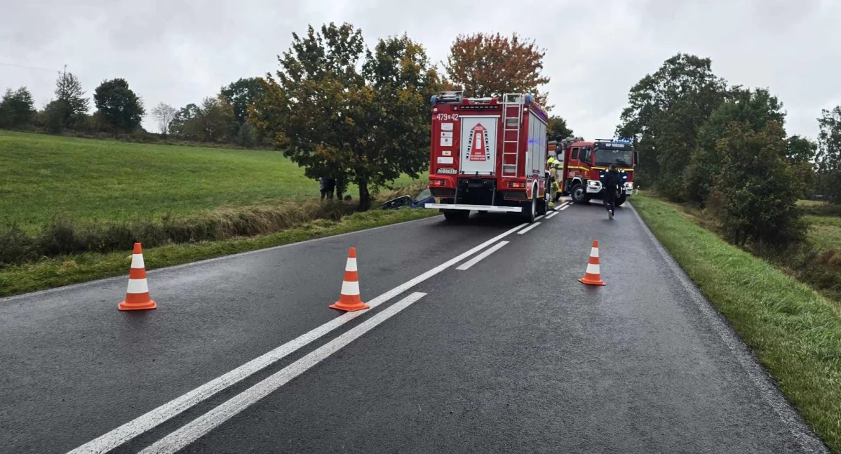 Osobówka uderzyła w drzewo. Utrudnienia na DW nr 162