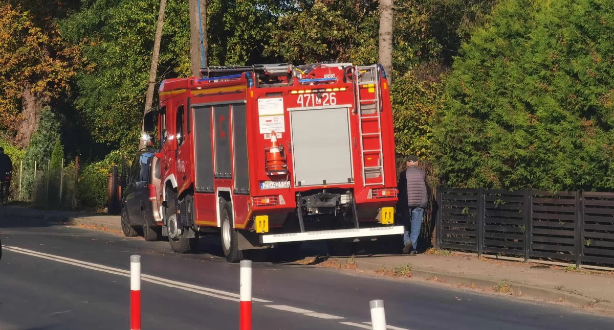 Najpierw cięli, potem trzymali drzewo, żeby nie spadło na dach. Pomogli strażacy