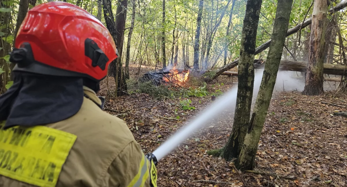 Ogromny pożar lasu. Strażacy ćwiczyli gotowość bojową 