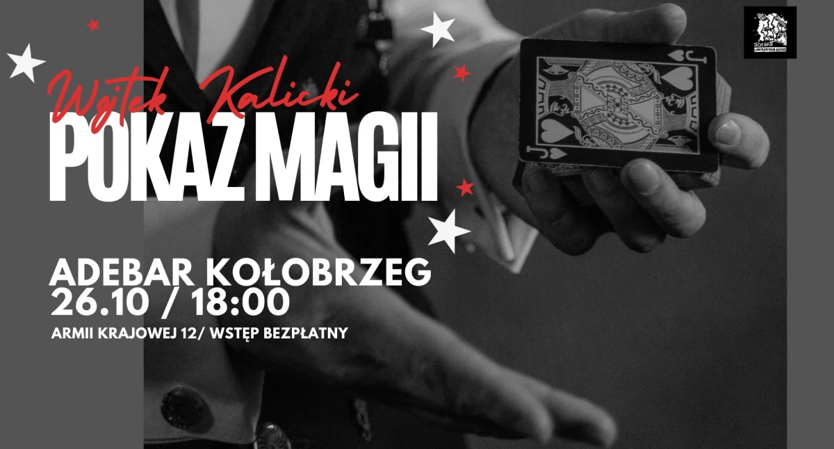 Pokaz magii w ratuszu
