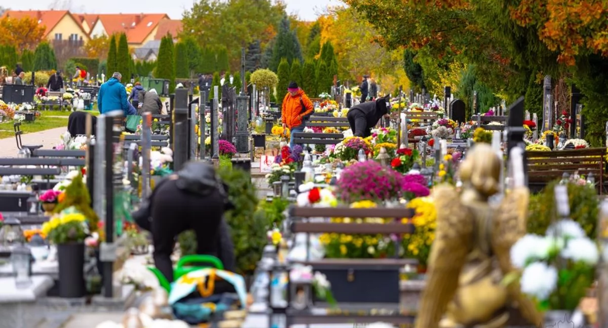 Przygotowania do Wszystkich Świętych - zdjęcia 