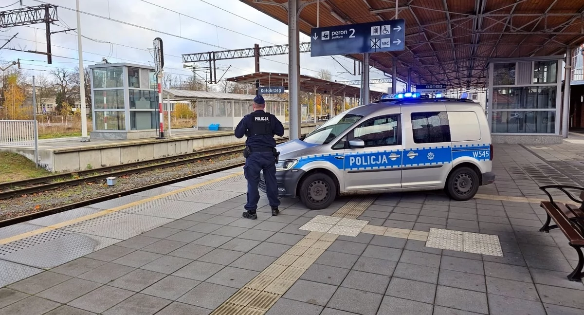 Kontrolowali dworce i przejazdy kolejowe w ramach międzynarodowej akcji
