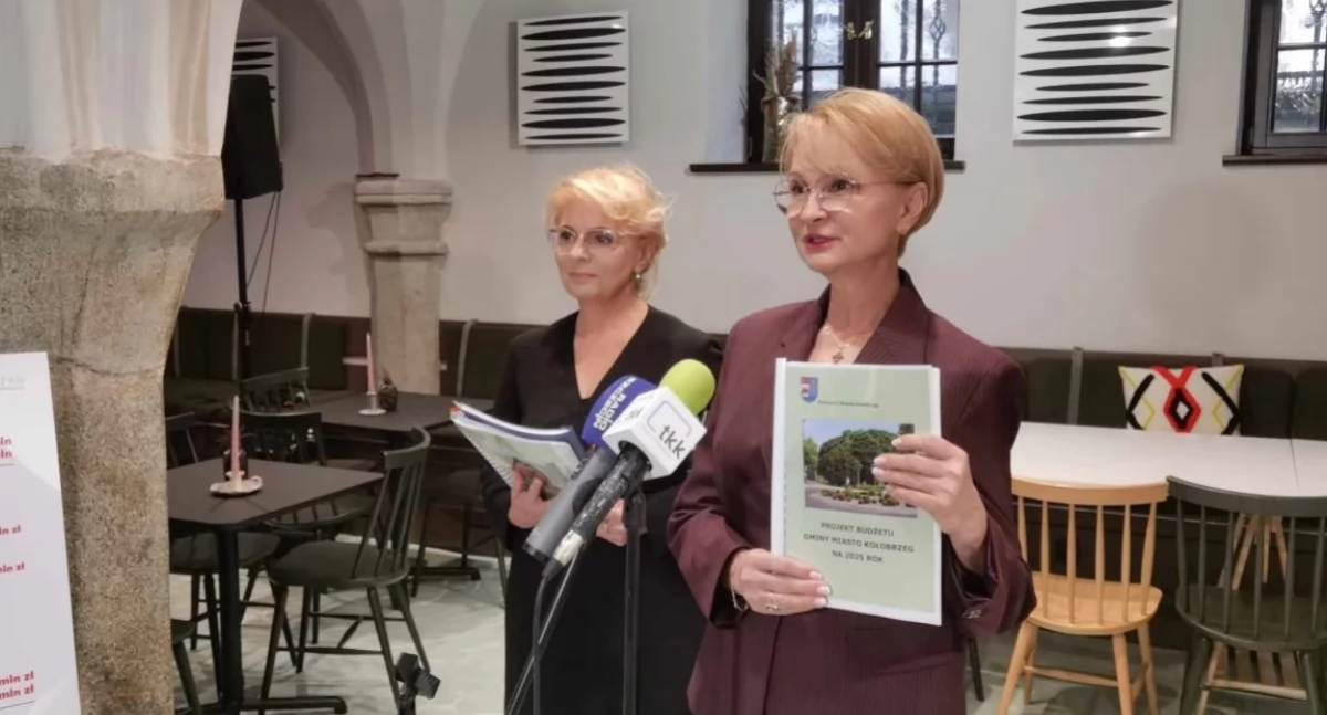 Budowa schroniska dla zwierząt, parkingi, remonty ulic. Jest projekt budżetu 2025 | wideo