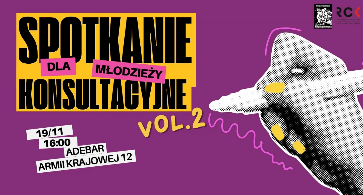 Spotkanie konsultacyjne dla młodzieży VOL.2