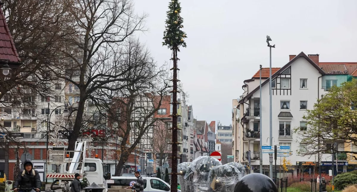 Trwa składanie choinki. W tym roku drzewko stanie w trochę innym miejsc niż zazwyczaj (foto)