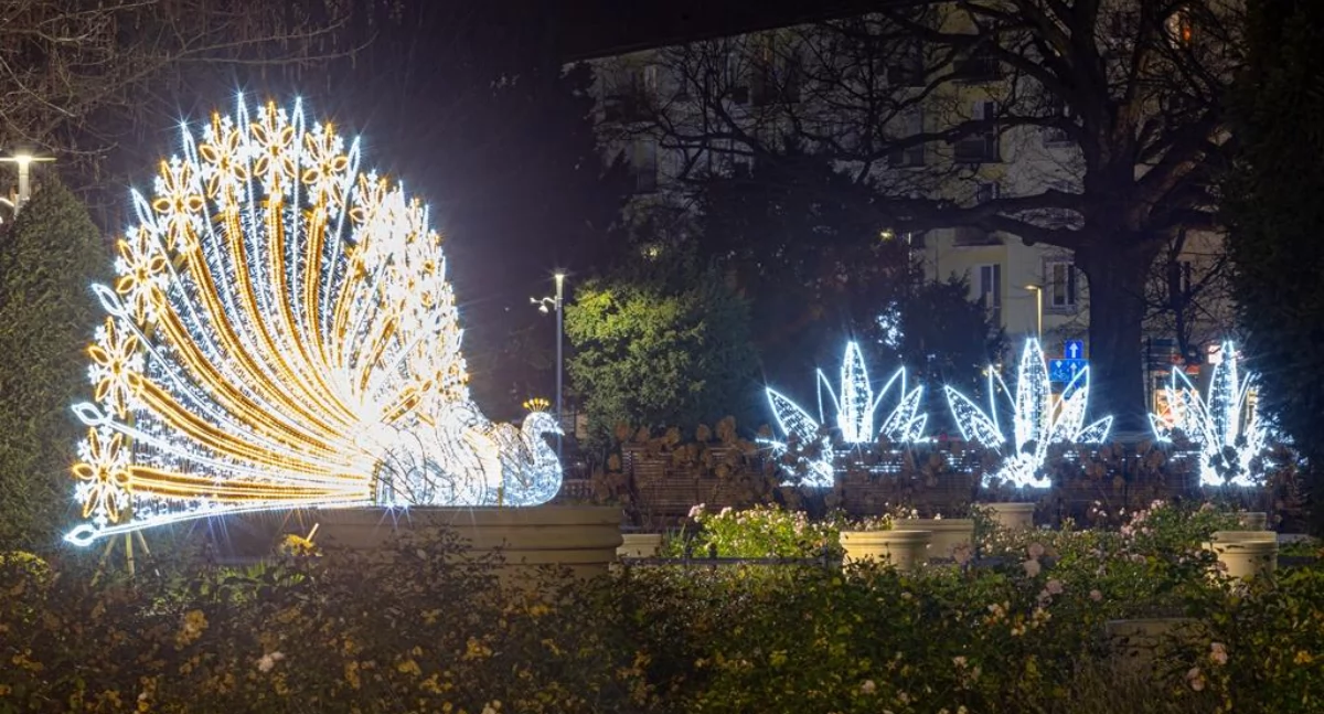 Świąteczne iluminacje w Kołobrzegu (fotogaleria)
