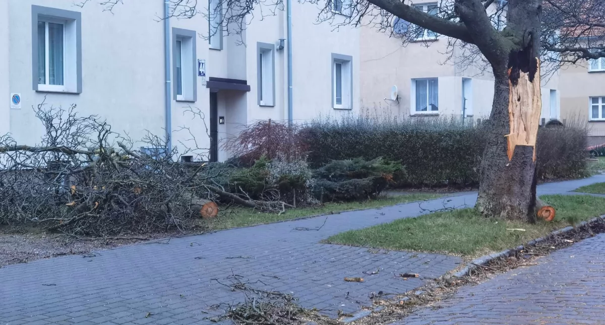 Uwaga na silny wiatr. Są nowe prognozy
