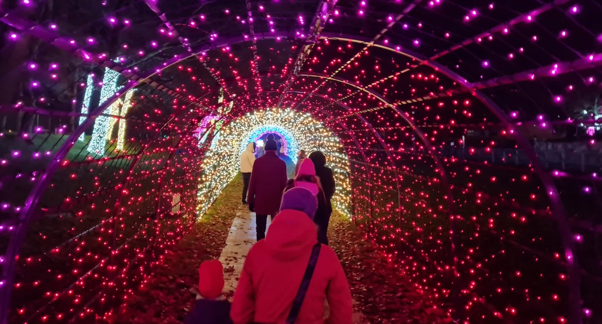 Wyjątkowa atrakcja - ogród świateł (zdjęcia)