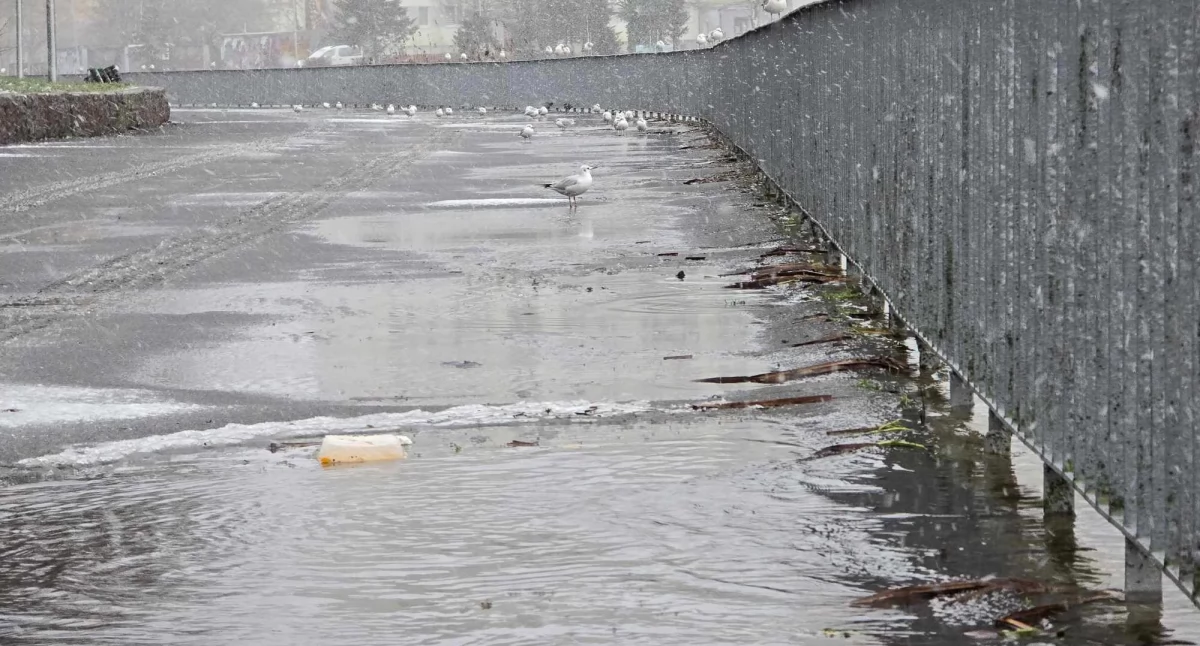 Woda wylewa się na bulwary. Cofka w Kołobrzegu