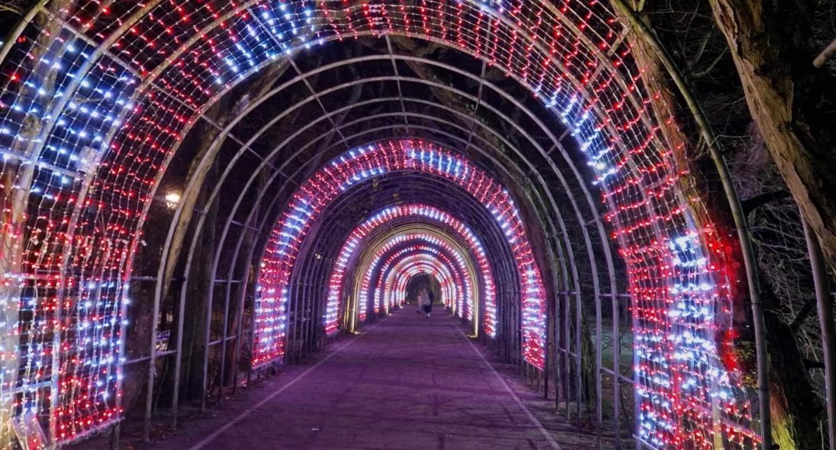 Nowa atrakcja. Iluminacja bindaża grabowego w Kołobrzegu pozostanie na dłużej