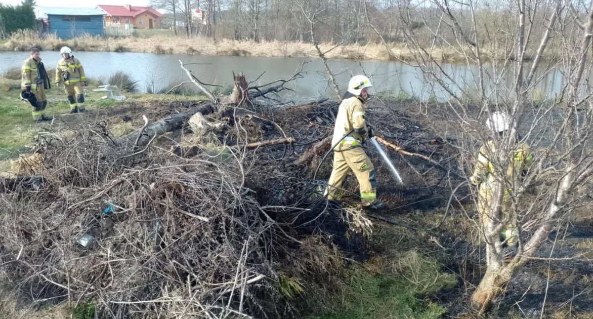 Sezon na wypalanie traw rozpoczęty. Z ogniem walczyły dwa zastępy strażaków