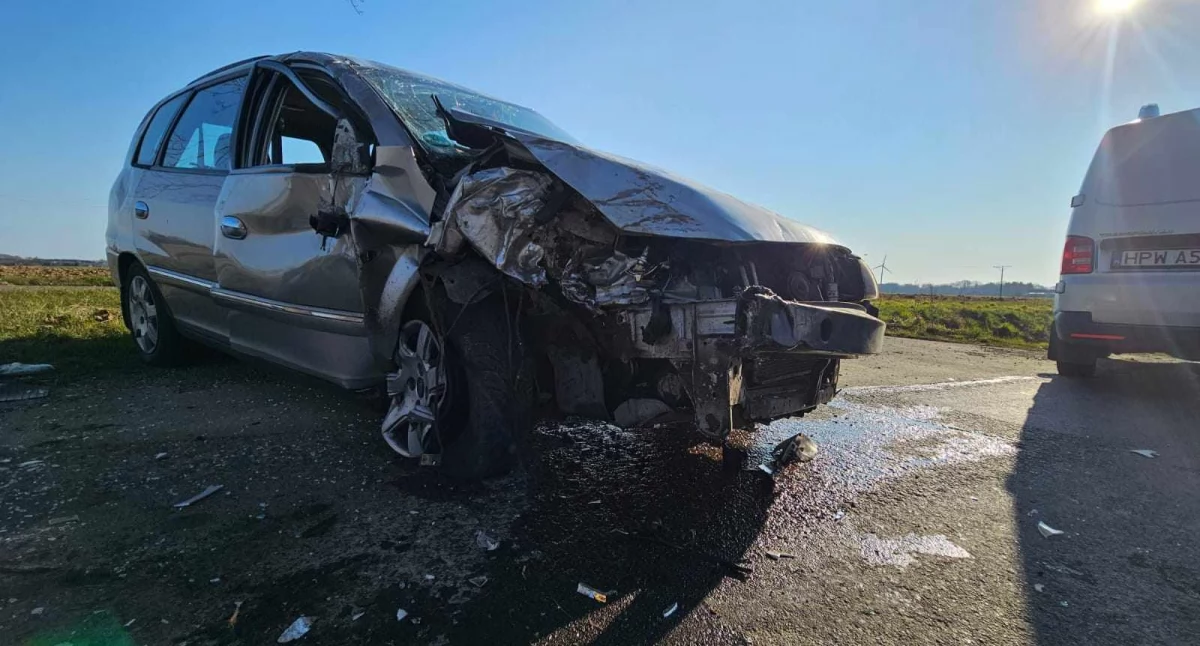 Samochód uderzył w drzewo. Kierowca był pod wpływem alkoholu 