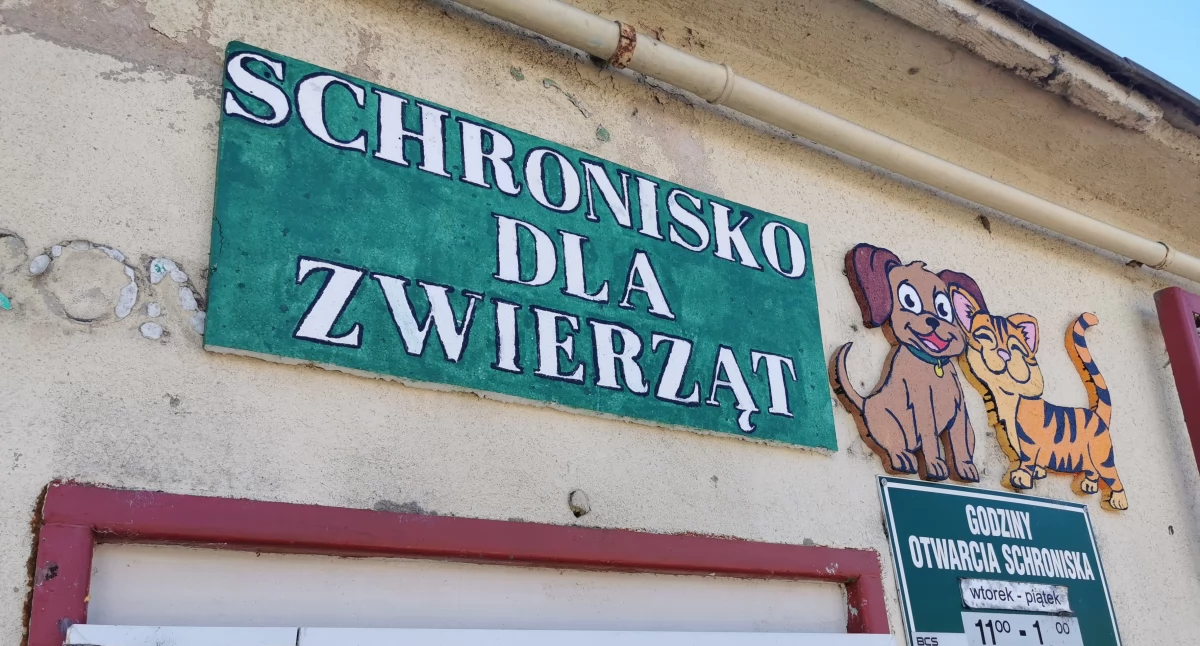Nowego schroniska nie poprowadzi stowarzyszenie. Dlaczego?