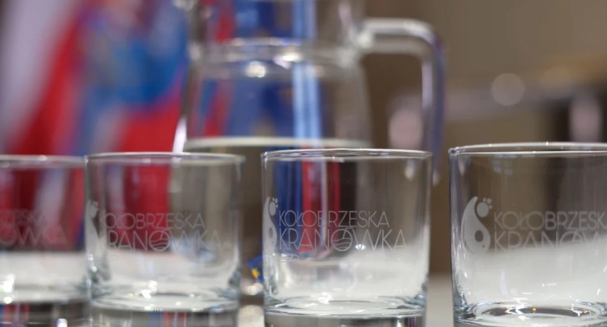 Mewa ambasadorem kołobrzeskiej kranówki? Jest pomysł na nowego Mariana