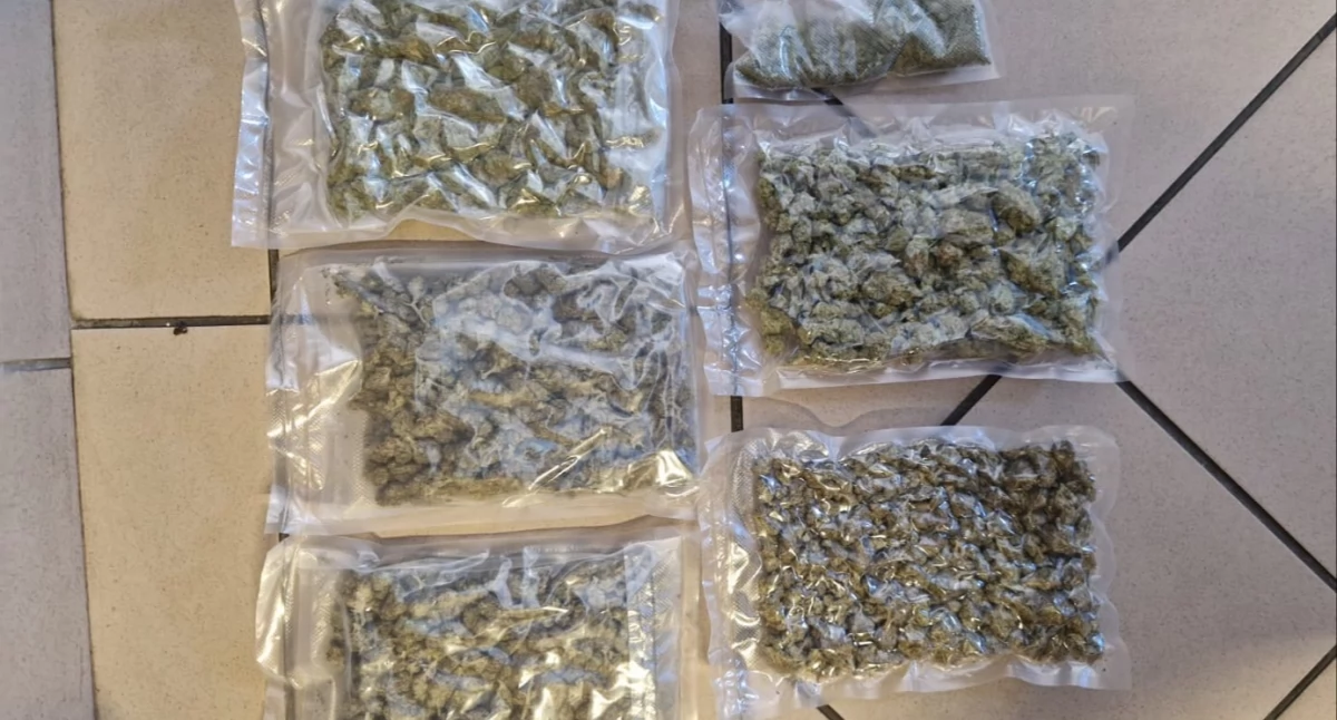 Pół kilograma marihuany. Trzech mężczyzn z zarzutami