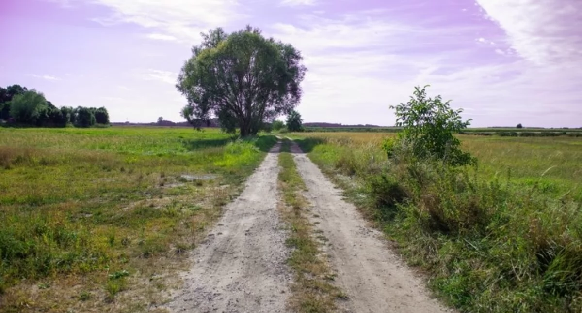 Lepsze drogi dojazdowe do gruntów rolnych w regionie