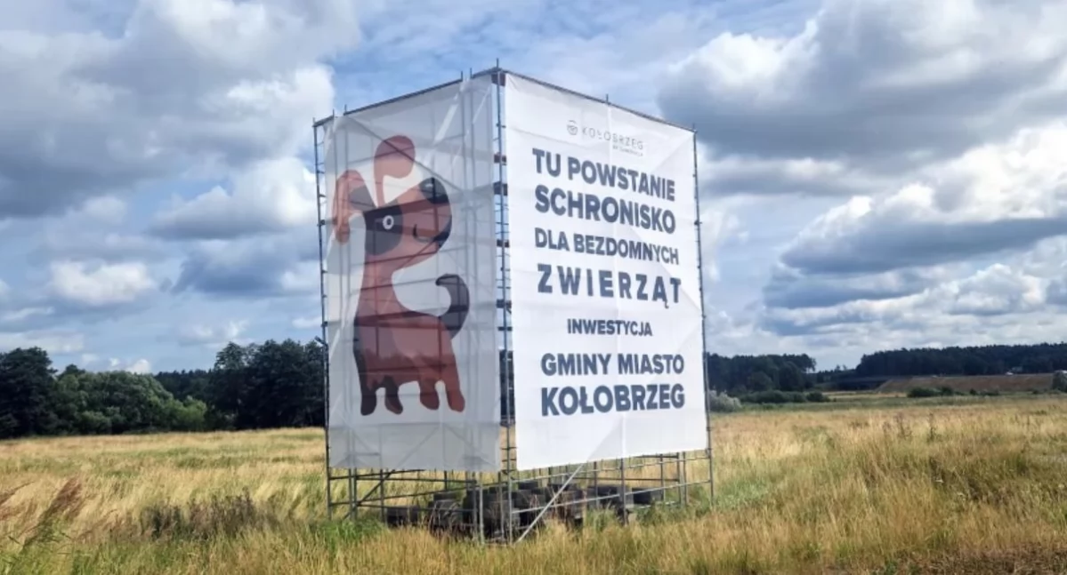 Schronisko za 13 czy za 30 milionów? Są oferty ... z dwóch różnych światów