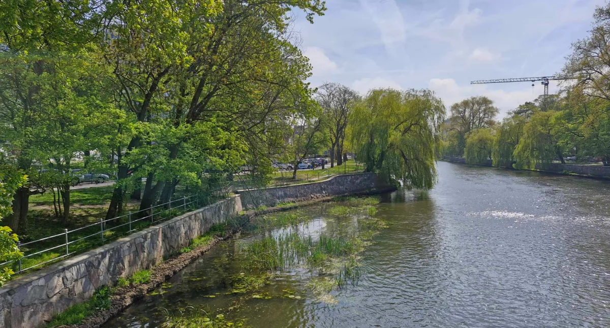 Kołobrzeg modernizuje brzegi Parsęty – ruszył przetarg. Wykonawca ma rok na inwestycję