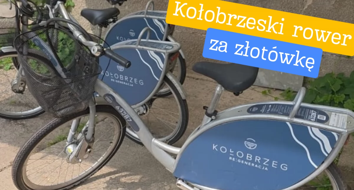 Miasto rozdaje rowery za złotówkę. 115 rowerów trafi do rąk mieszkańców