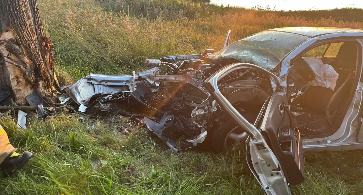 Auto uderzyło w drzewo. Poważny wypadek na trasie Korzystno–Stary Borek