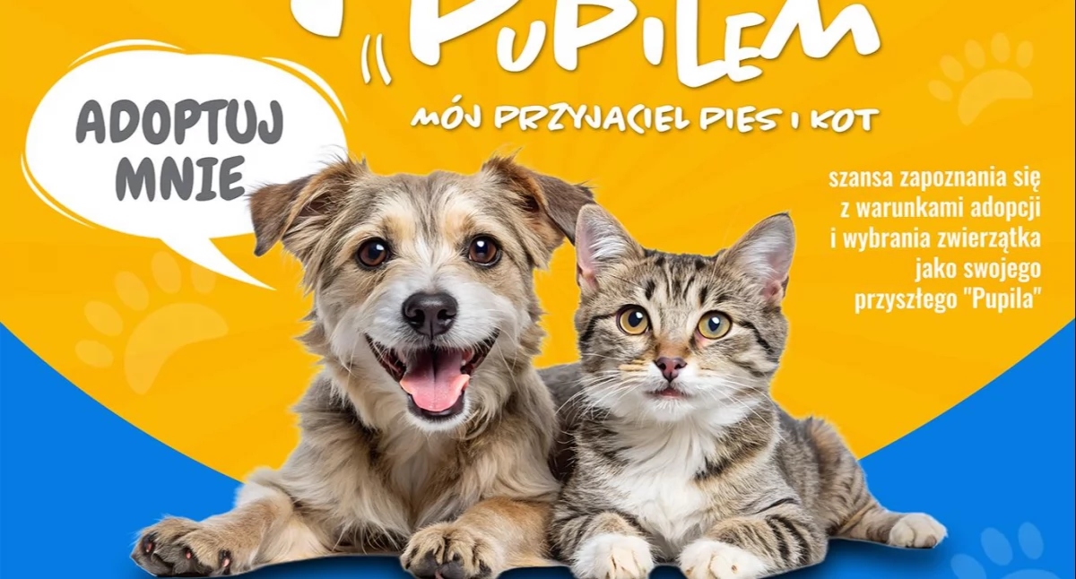Zbliża się Weekend z Pupilem. Zapisy na udział w wydarzeniu tylko do 2 lipca