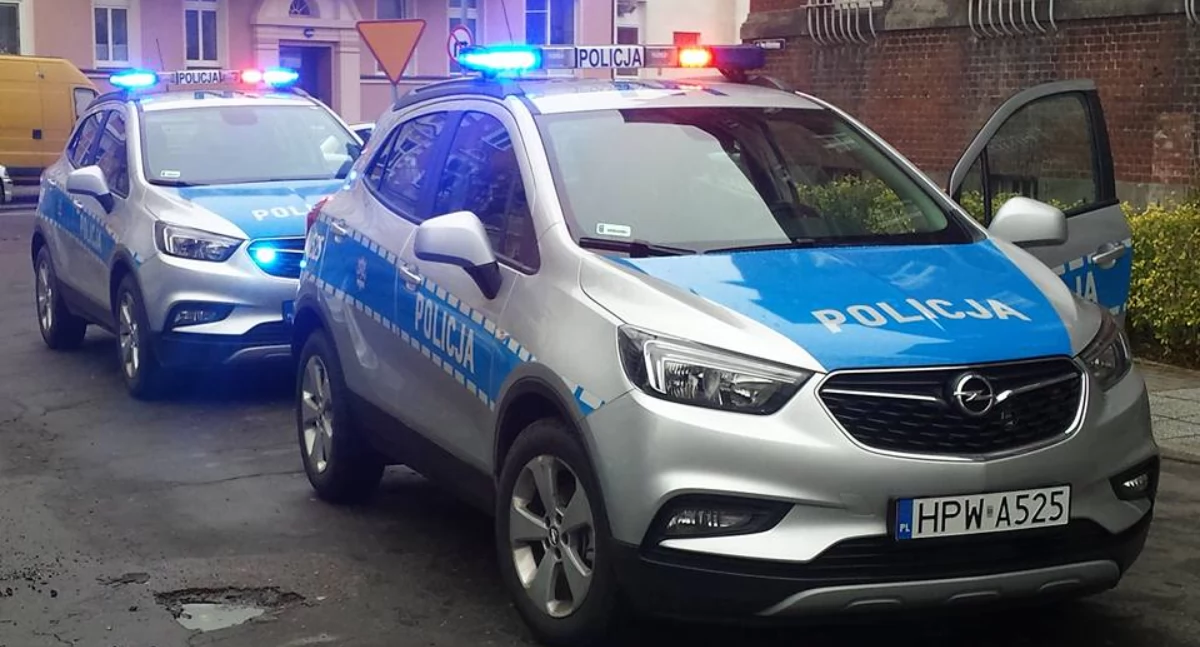 Mundurowe atrakcje. Święto Policji i festyn rodzinny