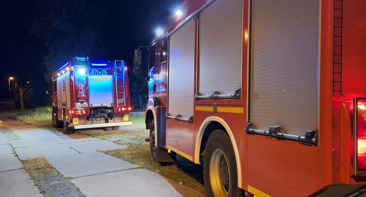 OSP z naszego powiatu z dotacjami. Będą remonty, altany i nowe wiaty