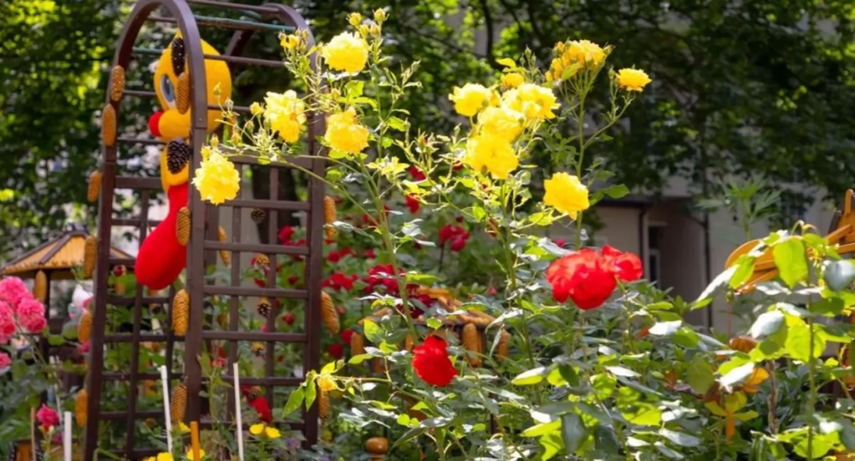 Najpiękniejszy balkon i przydomowy ogródek w mieście? Rusza kolejna edycja konkursu