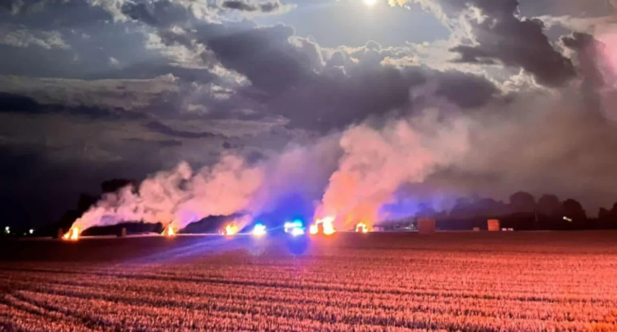 Pożar pod Gościnem. Mogło dojść do podpalenia 