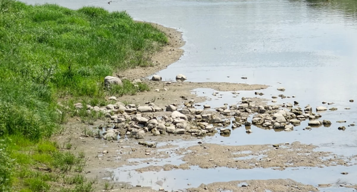 Susza hydrologiczna na Parsęcie. RSO wydało ostrzeżenie dla regionu