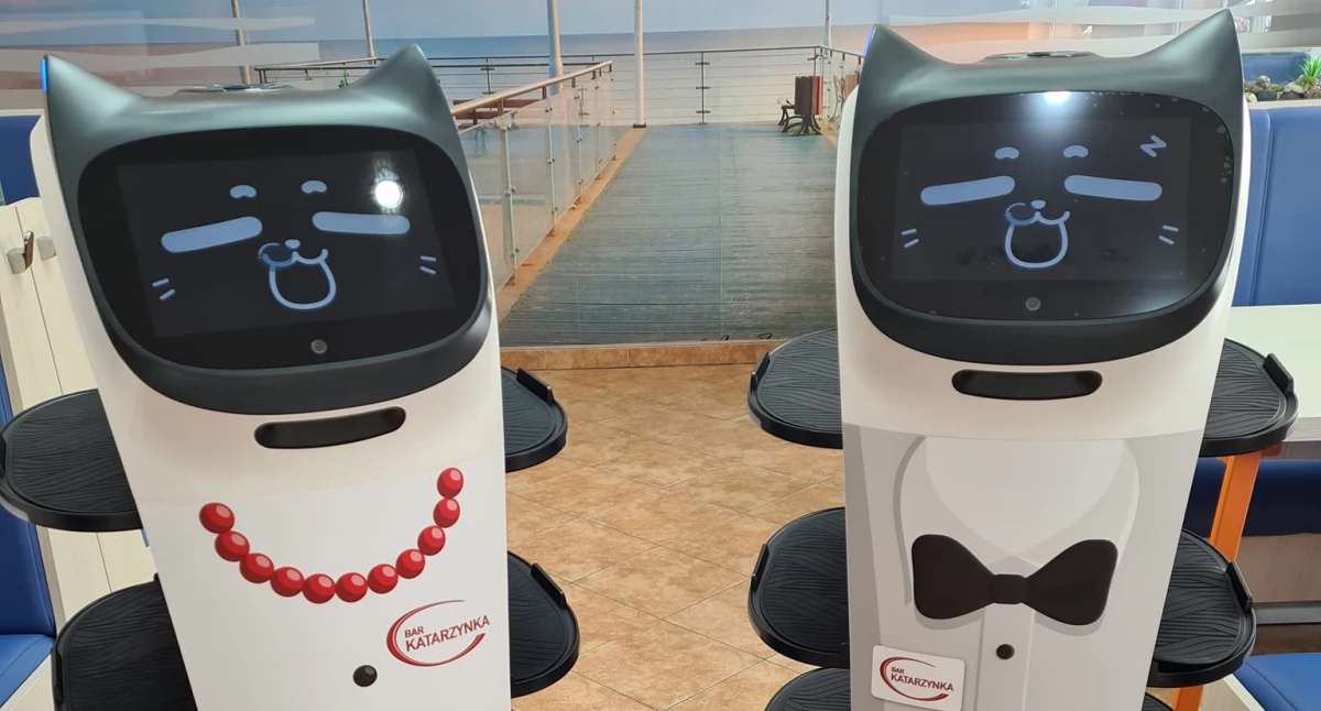 Kot na czterech kółkach przywiezie Ci obiad. Roboty kelnerzy nad Bałtykiem (wideo)
